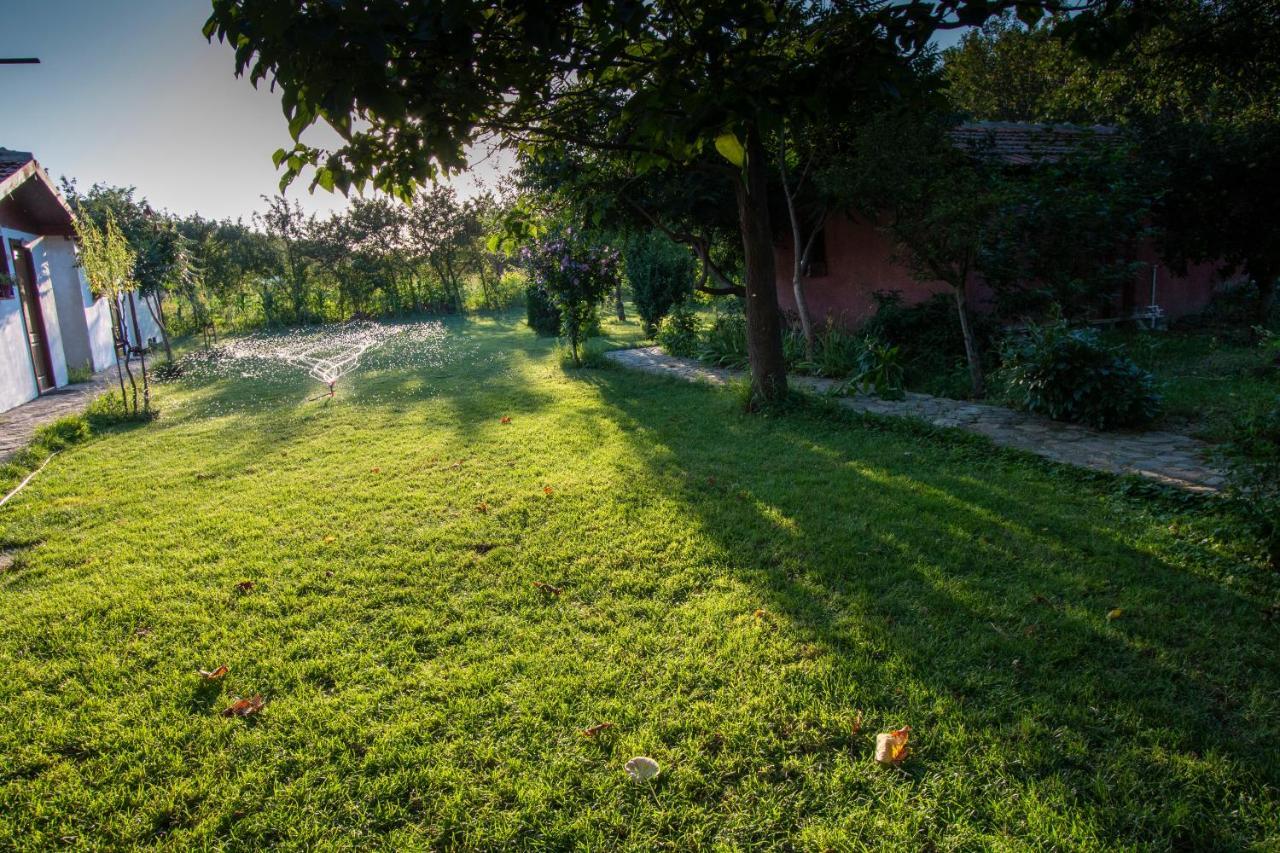 La Livada Villa Greci ภายนอก รูปภาพ